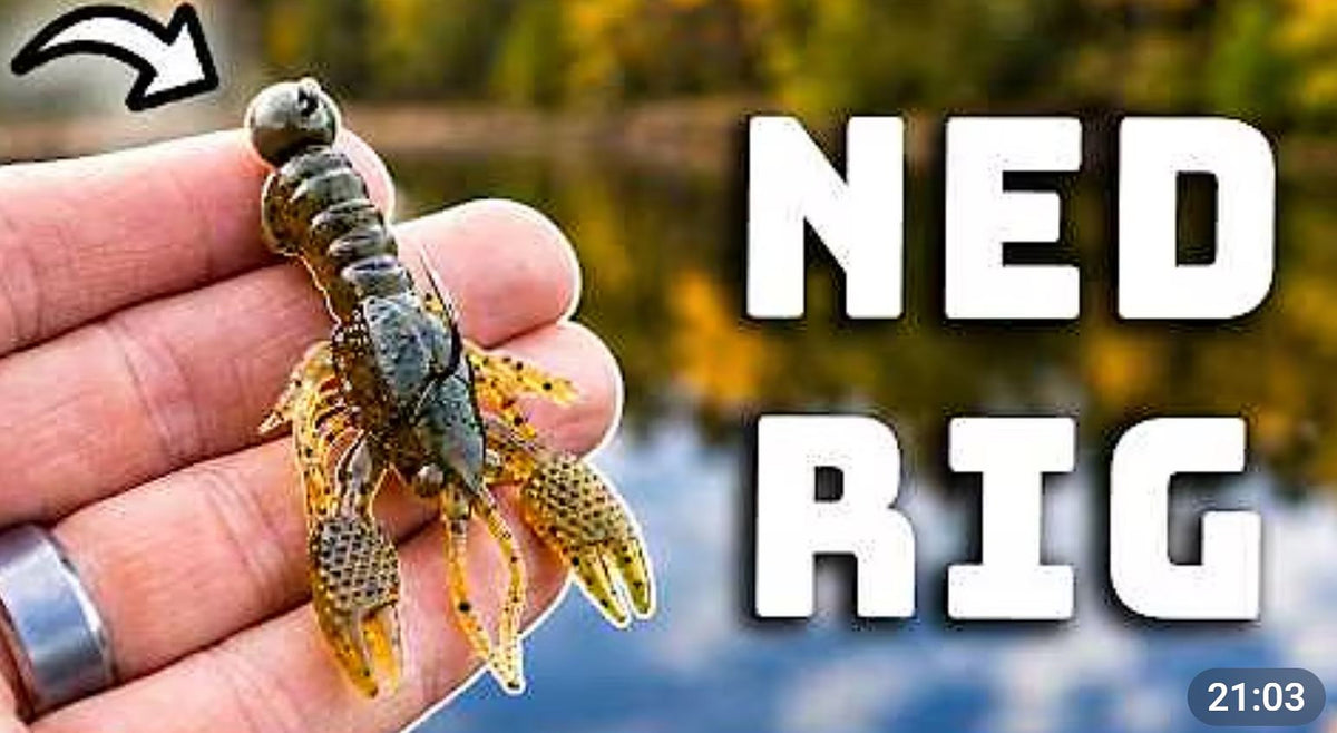 How to Fish a Ned Rig: Bass Fishing Masterclass