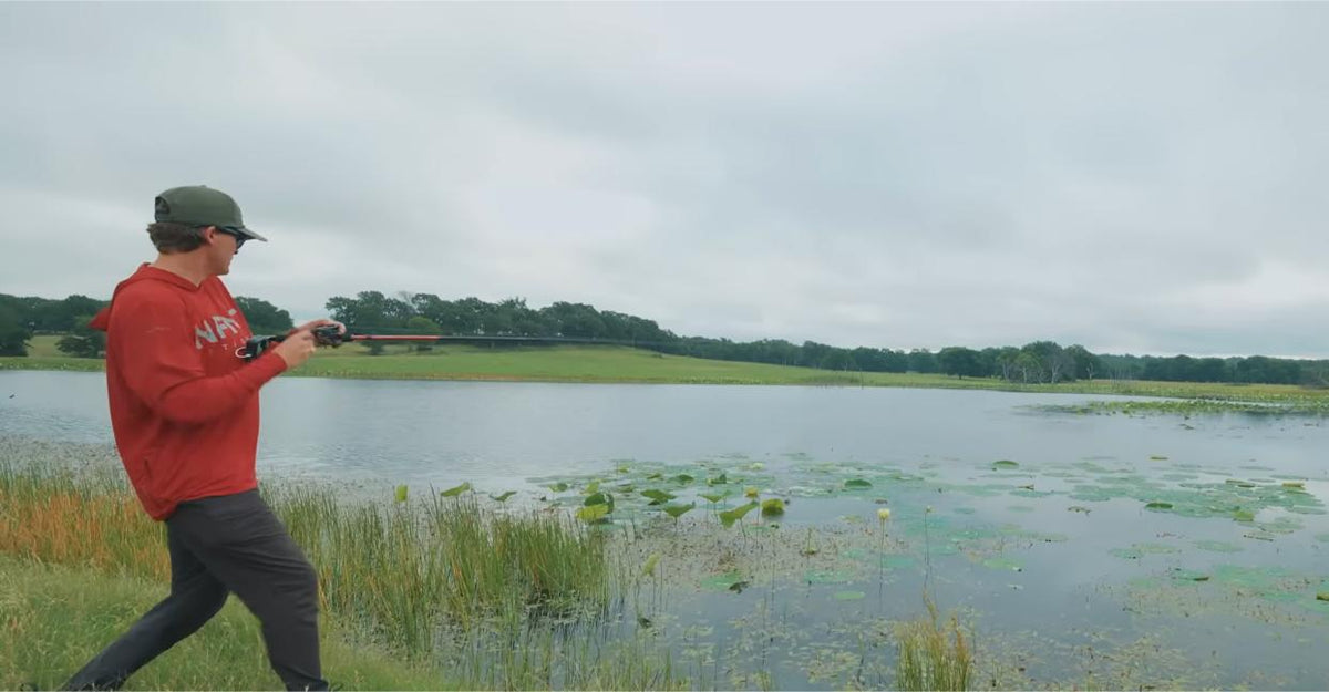 How To Catch Shallow Pond Bass In The Summer