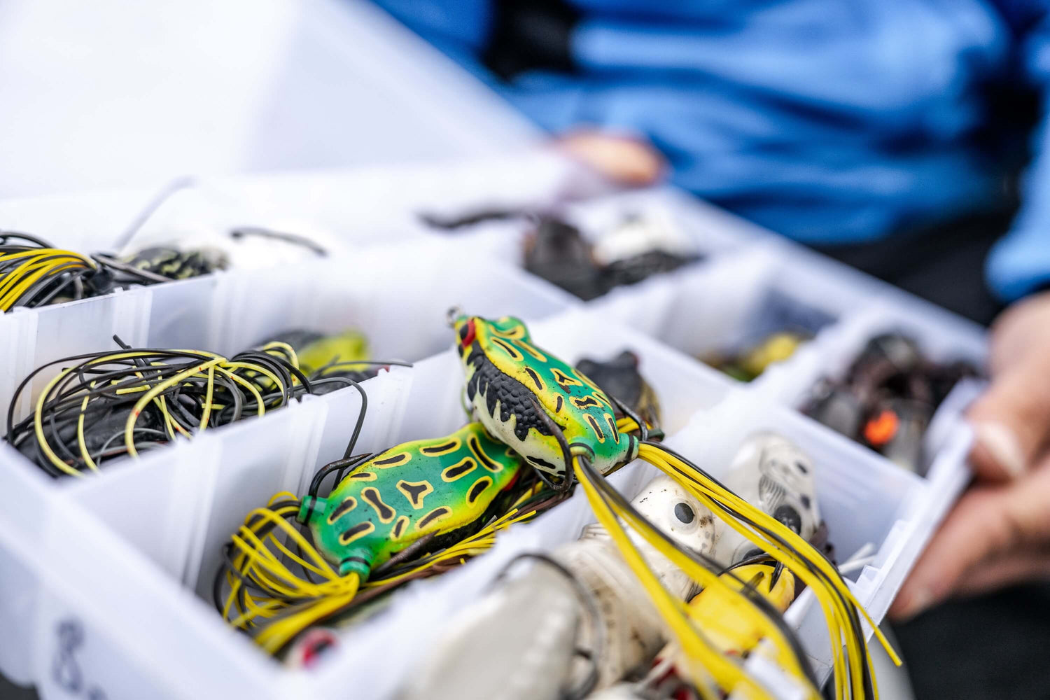 Topwater Frog Mistakes Every Angler Makes