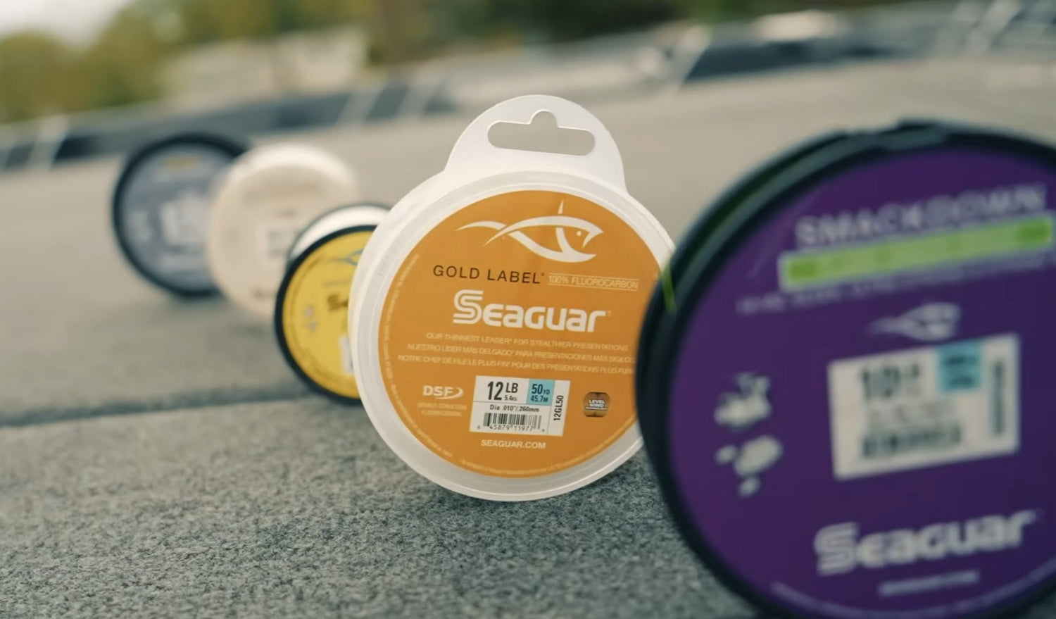 Fishing Line Masterclass - A Guide To Getting Started