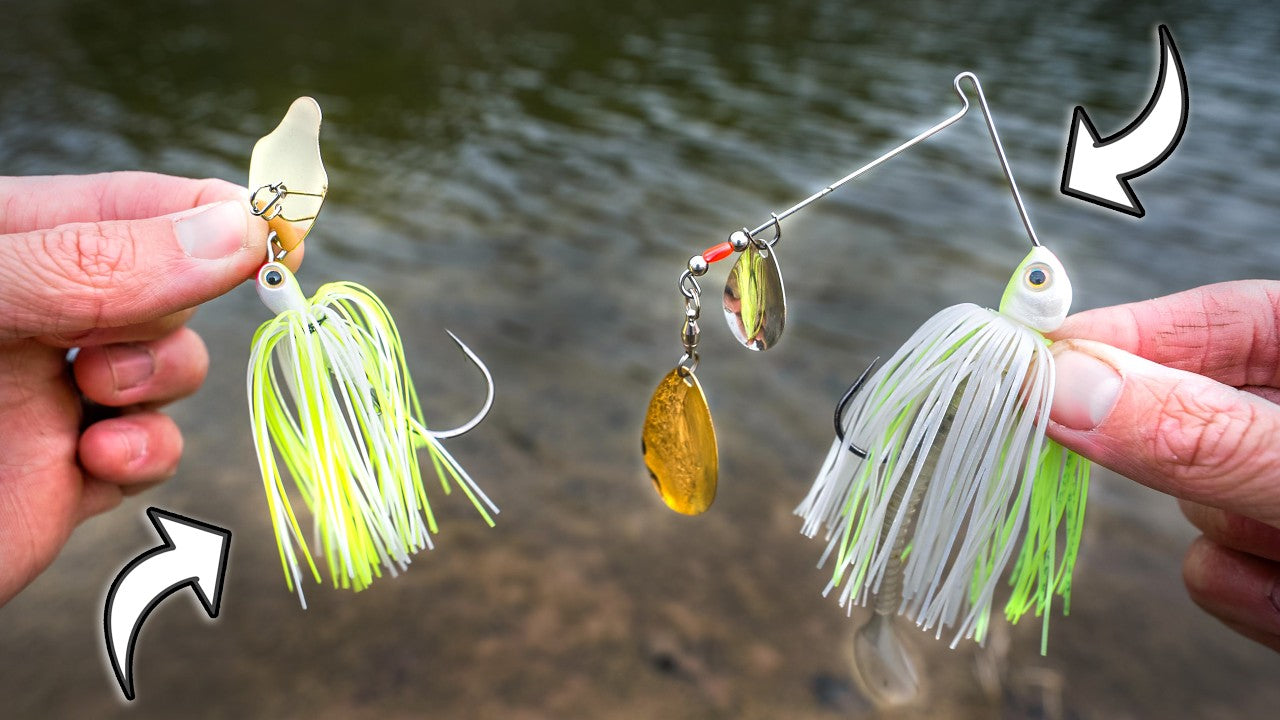 Spinnerbait vs Chatterbait for Bass Fishing